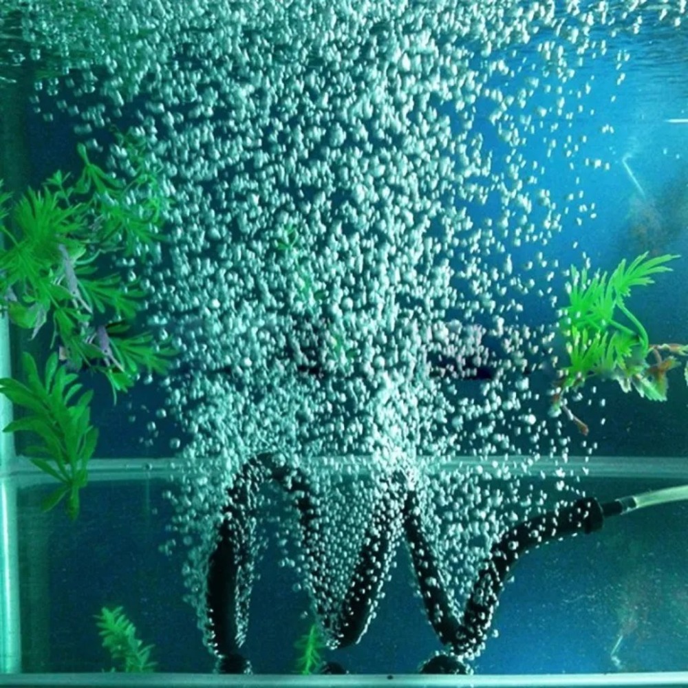 أنبوب فقاعات مطاطي لحوض السمك، - مراجعة Aquaculture Aerator Pump وسعره