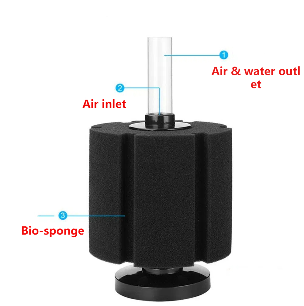 فلتر حوض السمك الاسفنجي لمضخة  - مراجعة Aquaculture Aerator Pump وسعره