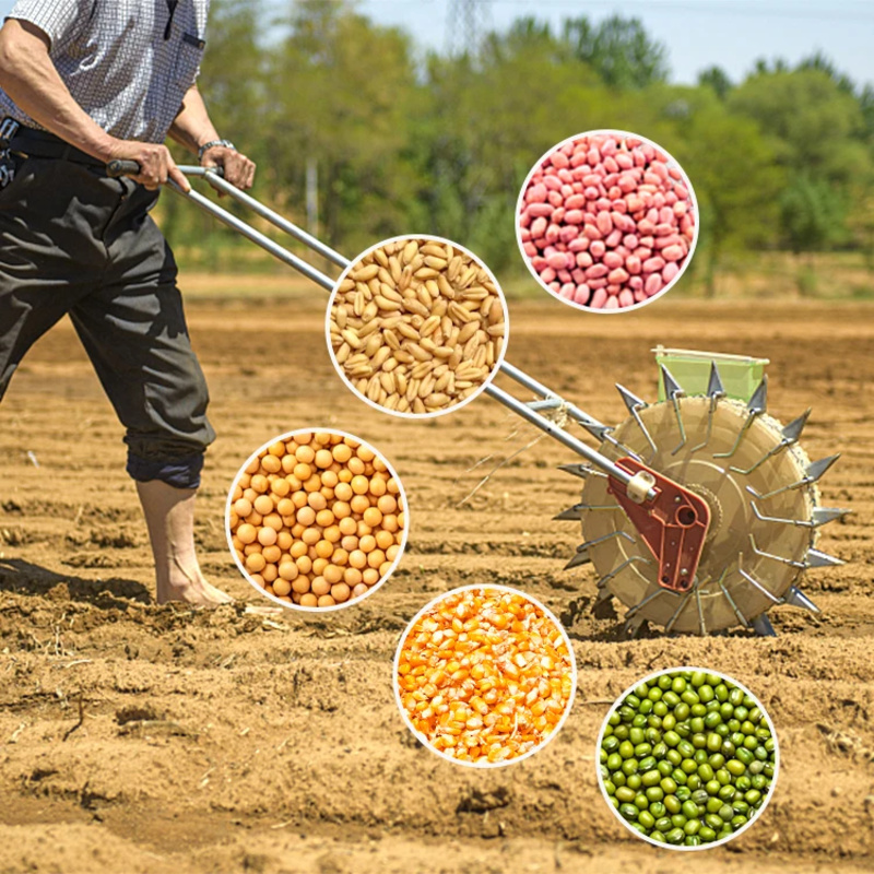 آلة زراعة البصل والثوم والخس ل - مراجعة Agriculture Onion Farming وسعره