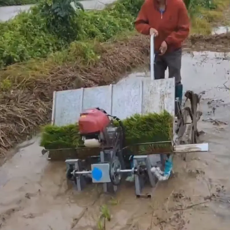 آلة زراعة الأرز اليدوية ذات 4  - مراجعة Agriculture Farming Rice وسعره